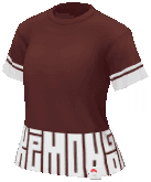 Tシャツ ホウオウ