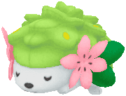 シェイミ 帽子