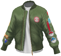 レベル50 ジャケット