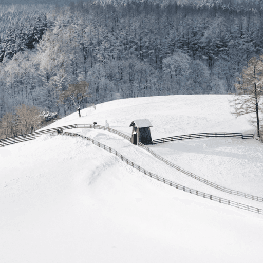 平昌ウィンターフェスティバル