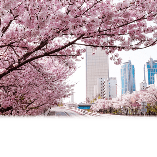 花見イベント