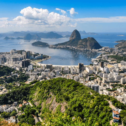 シティサファリ(- Rio de Janeiro)