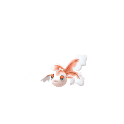 トサキント(メス)