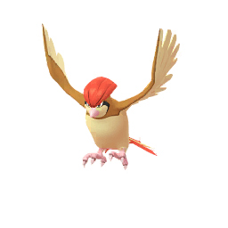 ピジョン
