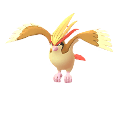 ピジョット