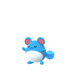 マリル(通常色)