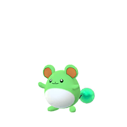 マリル(色違い)