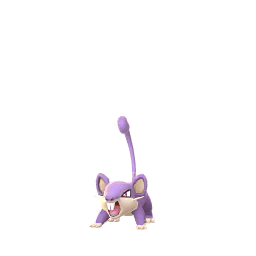コラッタ(メス)