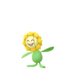 キマワリ