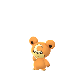 ヒメグマ