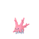 サニーゴ