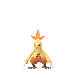 ワカシャモ