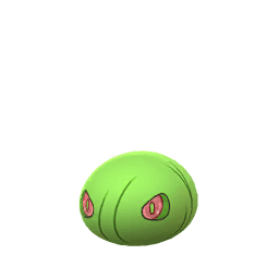 マユルド(色違い)