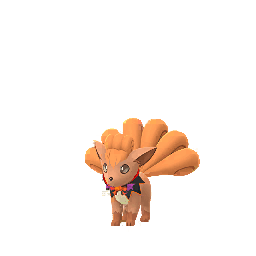 ロコン