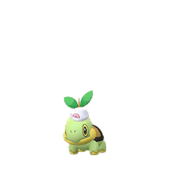 ナエトル