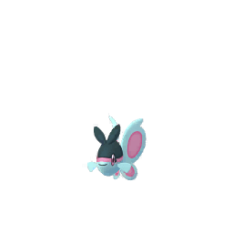 ケイコウオ(メス)