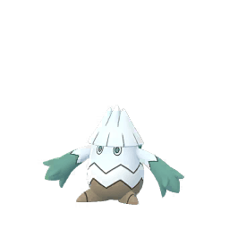ユキカブリ(メス)