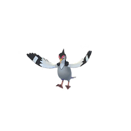ハトーボー