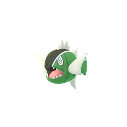 バスラオ(しろすじのすがた)