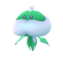 ブルンゲル(色違い)