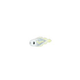 シビシラス