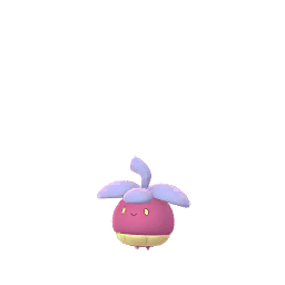アマカジ(色違い)