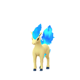 ポニータ(色違い)