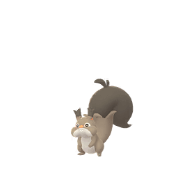 ホシガリス