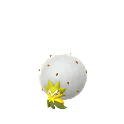 ワタシラガ