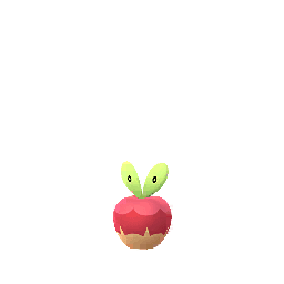 カジッチュ