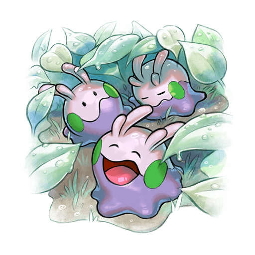 ヌメラ