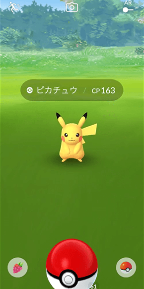 Pokémon GO公式サイトに掲載されている、野生ポケモン(ピカチュウ)との遭遇画面のスクリーンショット。画面上部に名前とCPの表示、画面下部にモンスターボール、左下にきのみボタンが表示されている