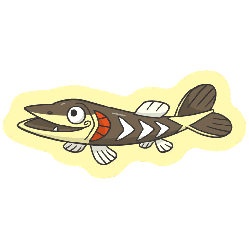 サシカマス